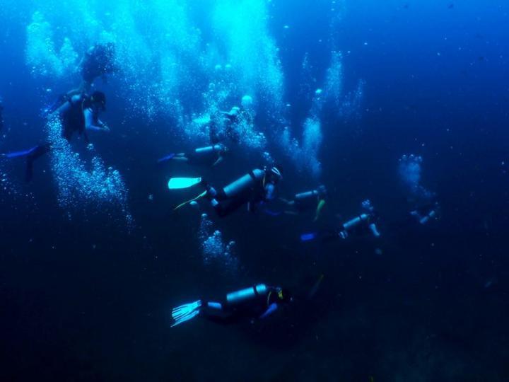 天合智慧农业四情监测系统解决方案