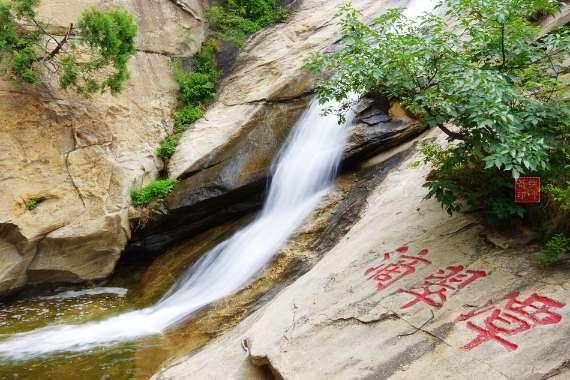 荆棘王座